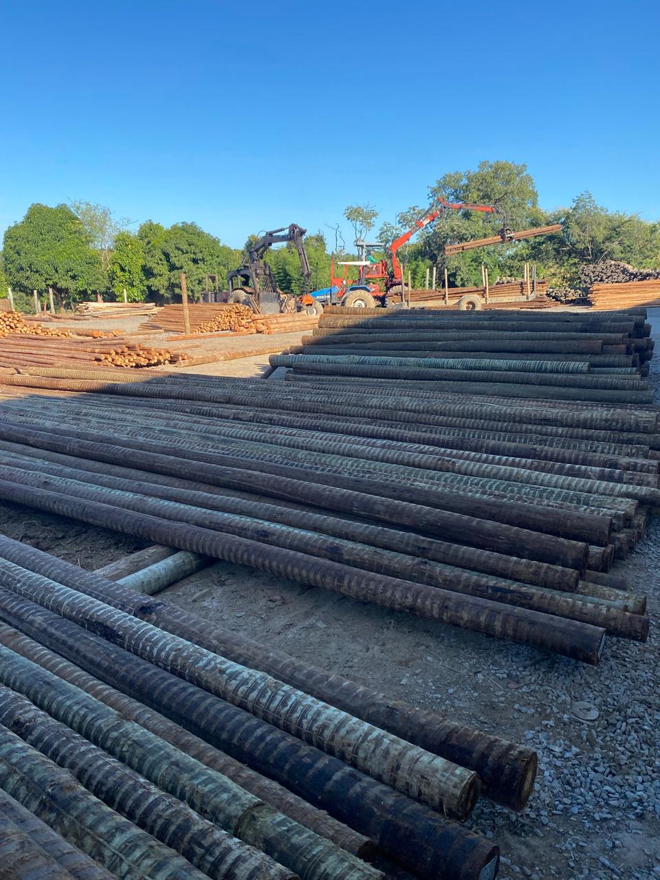 Produção VALE-X 01