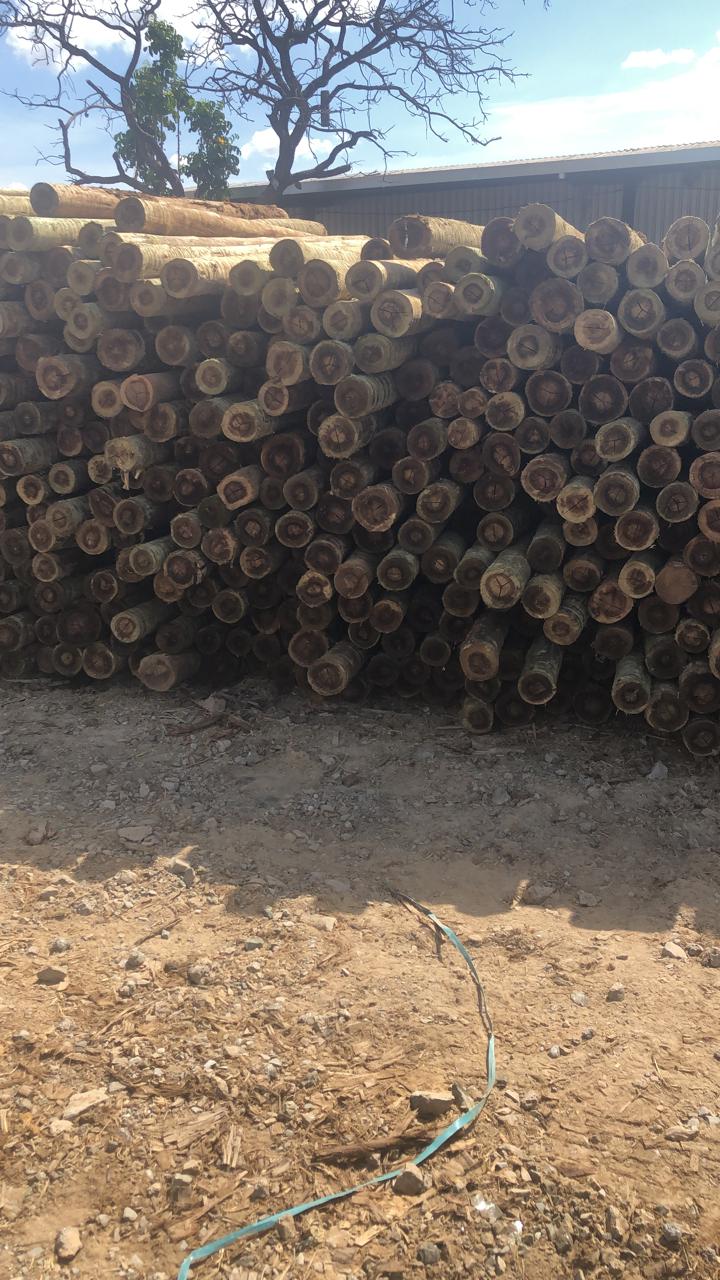 Produção VALE-X 03