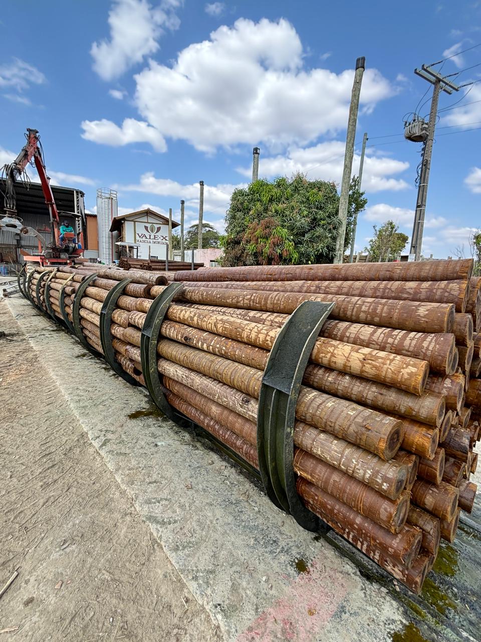 Produção VALE-X 16