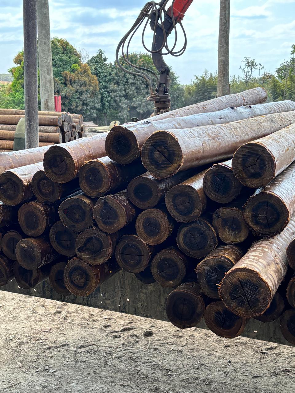 Produção VALE-X 18