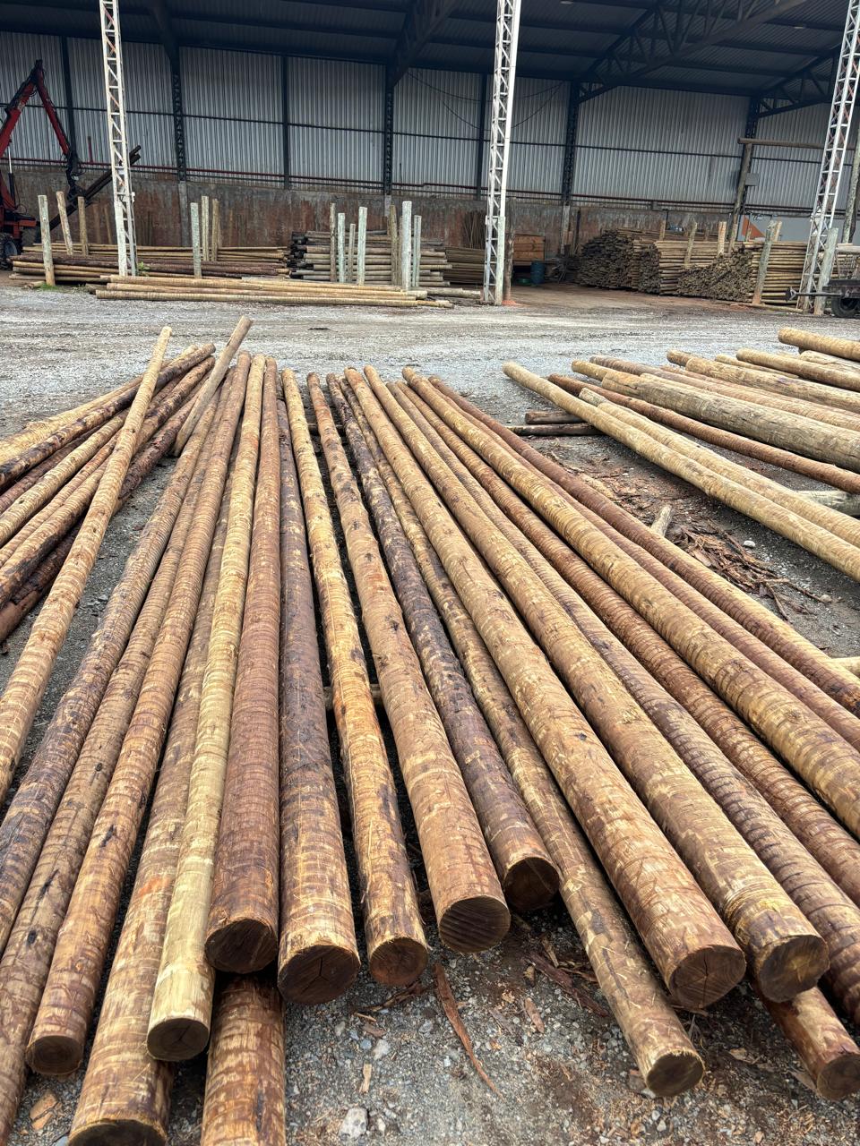 Produção VALE-X 20